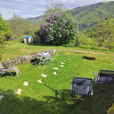 Nature Et Serenite Bienvenue Au De La Foret *