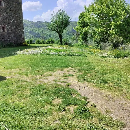 Nature Et Serenite Bienvenue Au De La Foret Saint-Privat-d'Allier