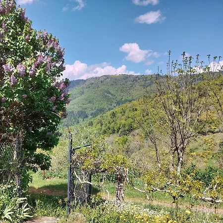 Nature Et Serenite Bienvenue Au De La Foret Saint-Privat-d'Allier
